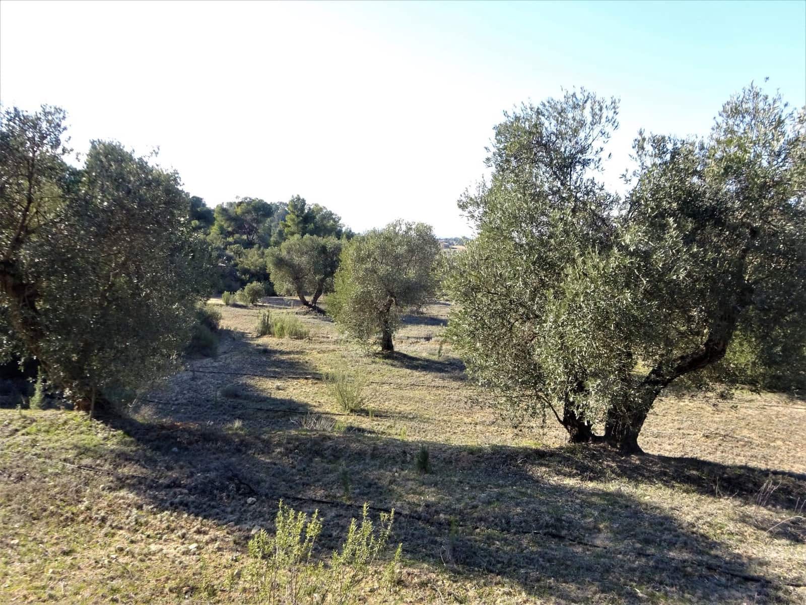 Finca/Country House for sale in Maella - € 16,000 (Ref: 7406944)