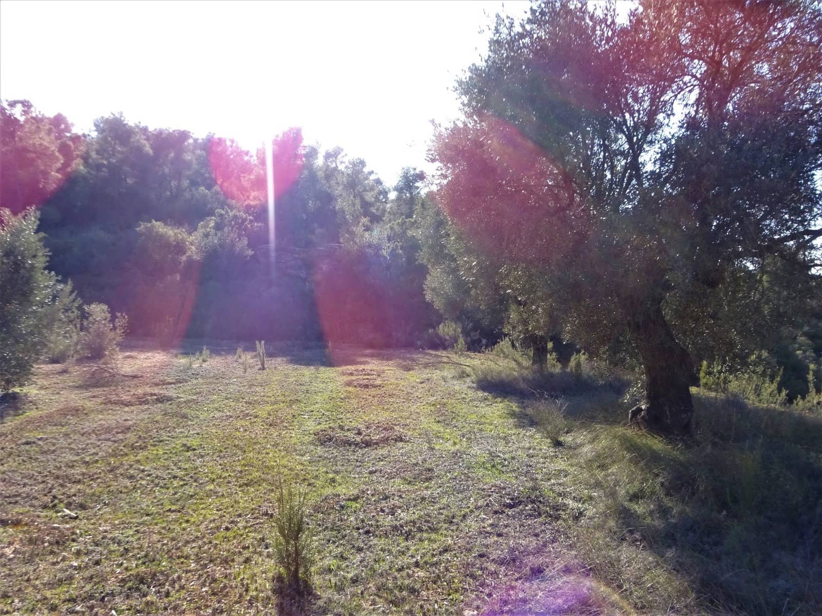 Finca/Country House for sale in Maella - € 16,000 (Ref: 7406944)