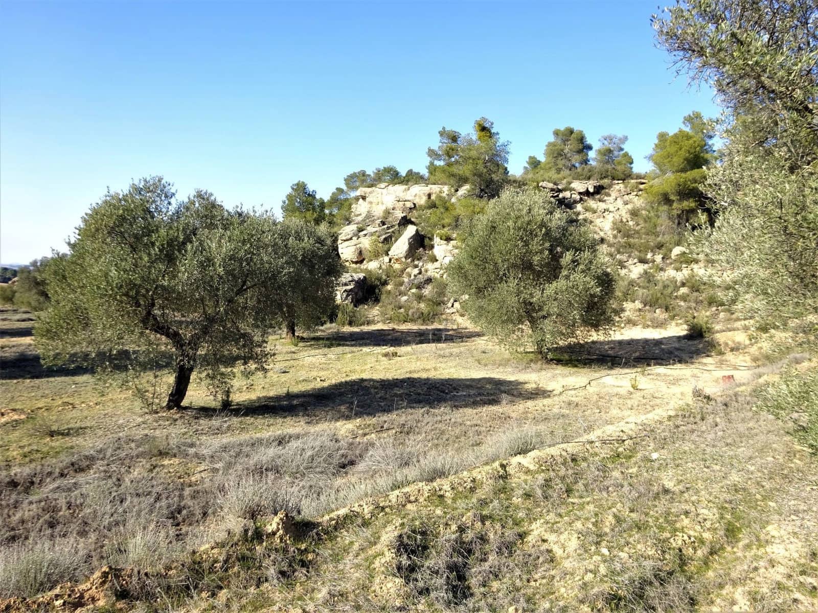 Finca/Country House for sale in Maella - € 16,000 (Ref: 7406944)