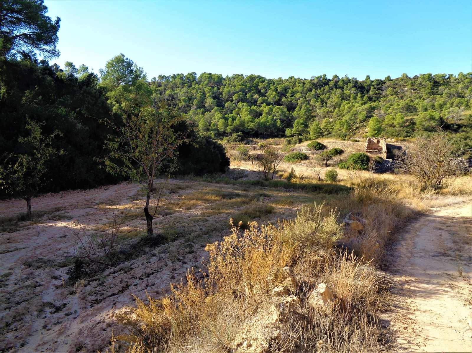 Finca/Landehus til salg i Maella - € 19.000 (Ref: 7406955)