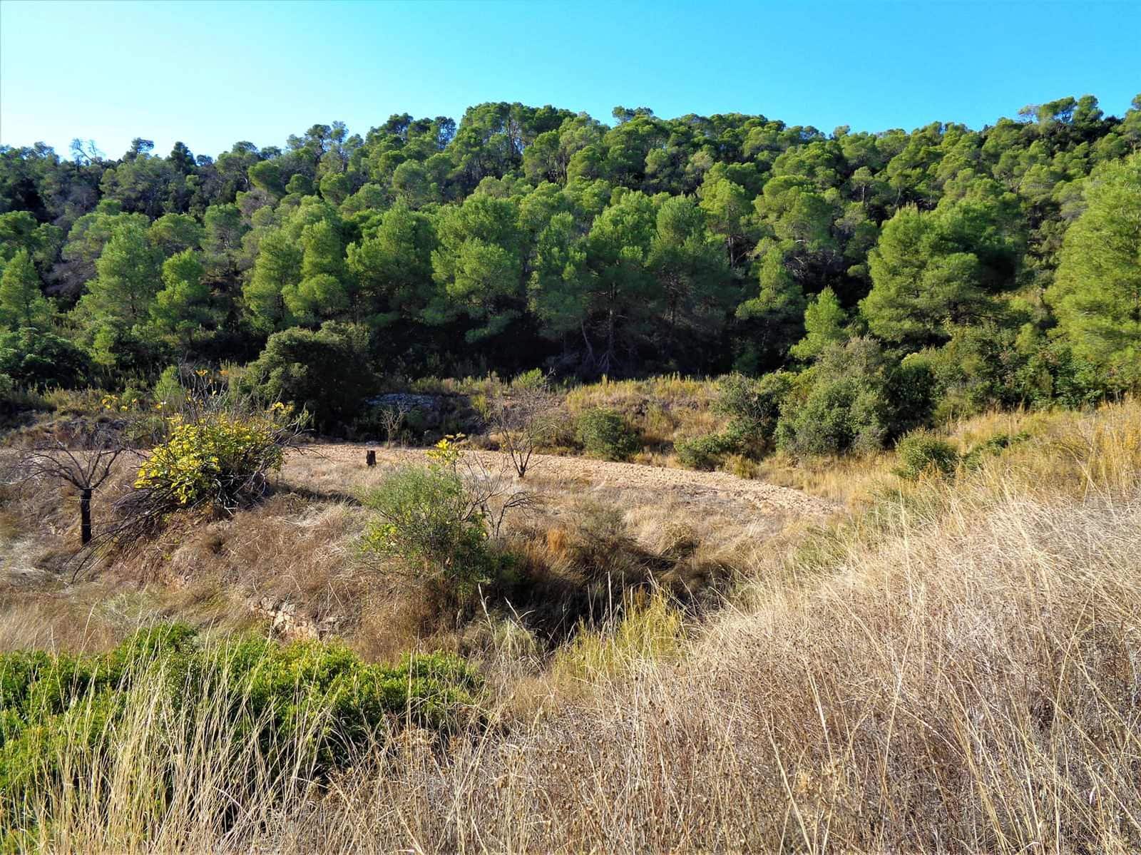 Finca/Landehus til salg i Maella - € 19.000 (Ref: 7406955)