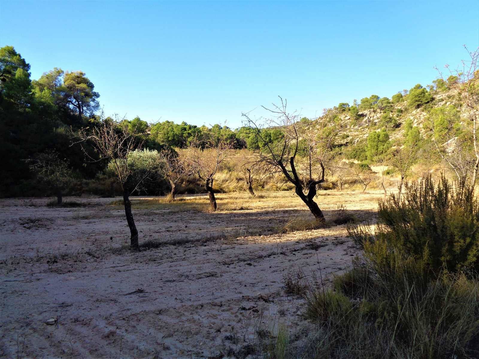 Finca/Casa di Campagna in vendita in Maella - 19.000 € (Rif: 7406955)