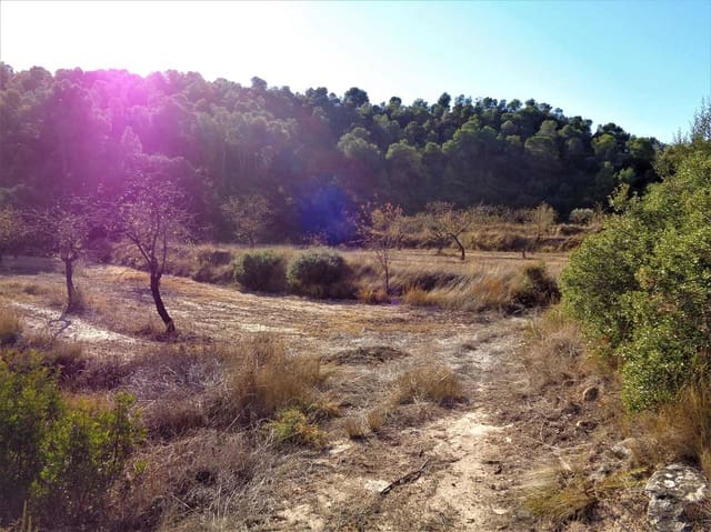 Finca/Casa Rural en Maella en venta - 19.000 € (Ref: 7406955)