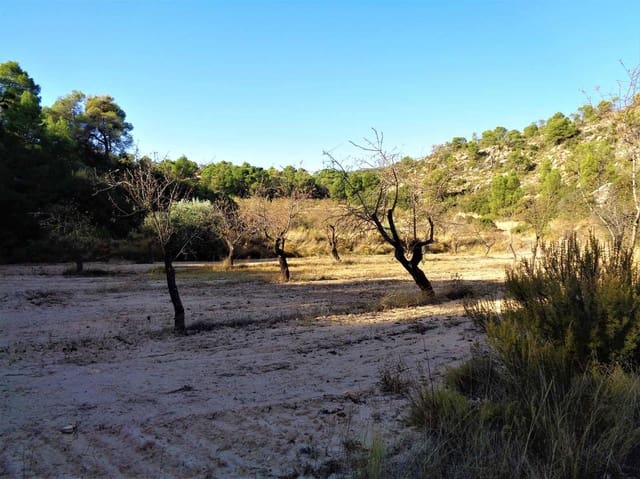 Finca/Casa Rural en Maella en venta - 19.000 € (Ref: 7406955)