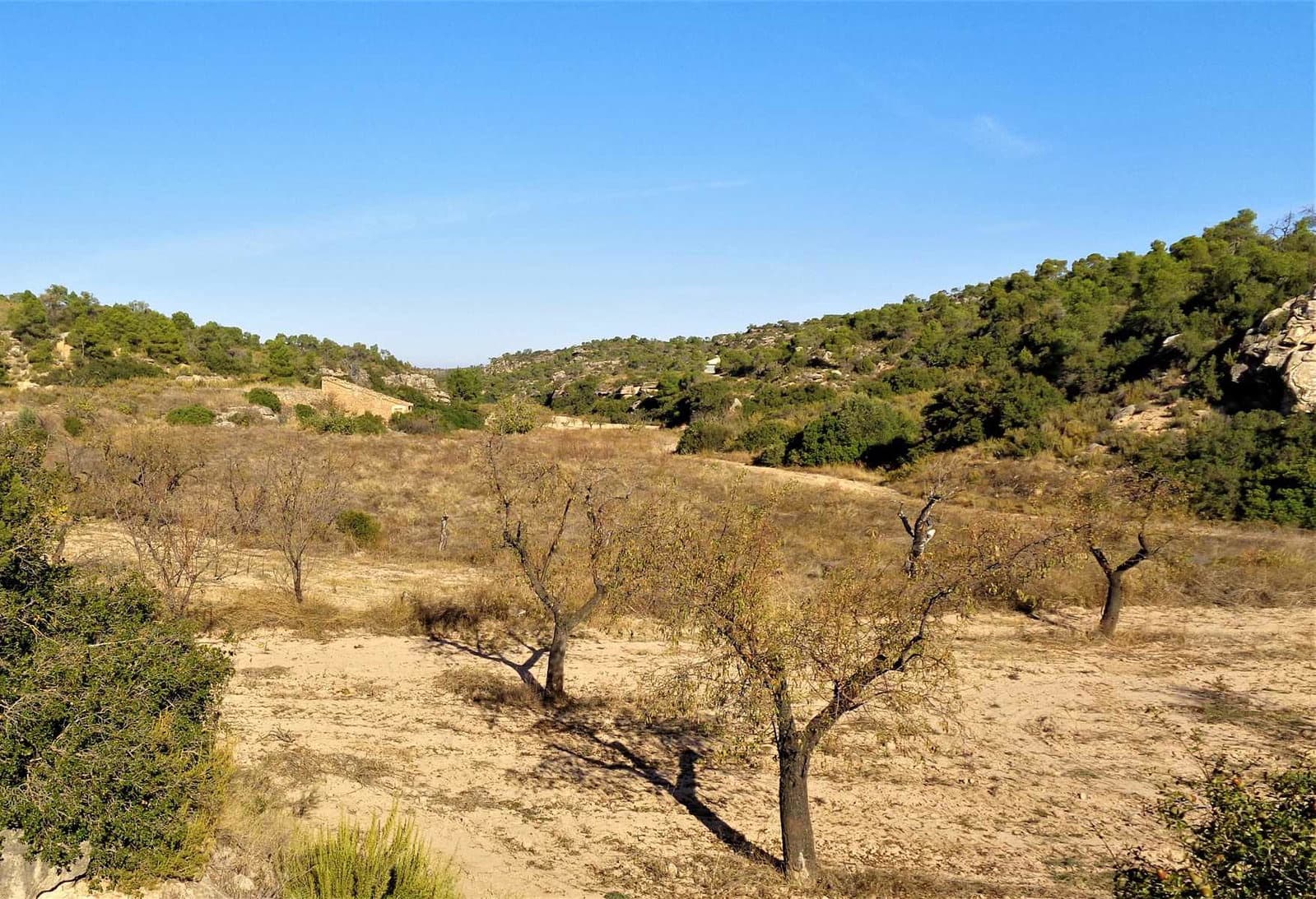 Finca/Casa di Campagna in vendita in Maella - 19.000 € (Rif: 7406955)