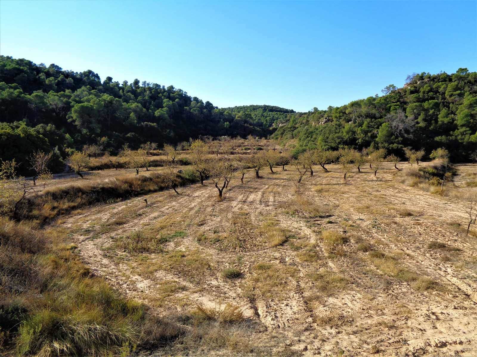 Finca/Casa di Campagna in vendita in Maella - 19.000 € (Rif: 7406955)