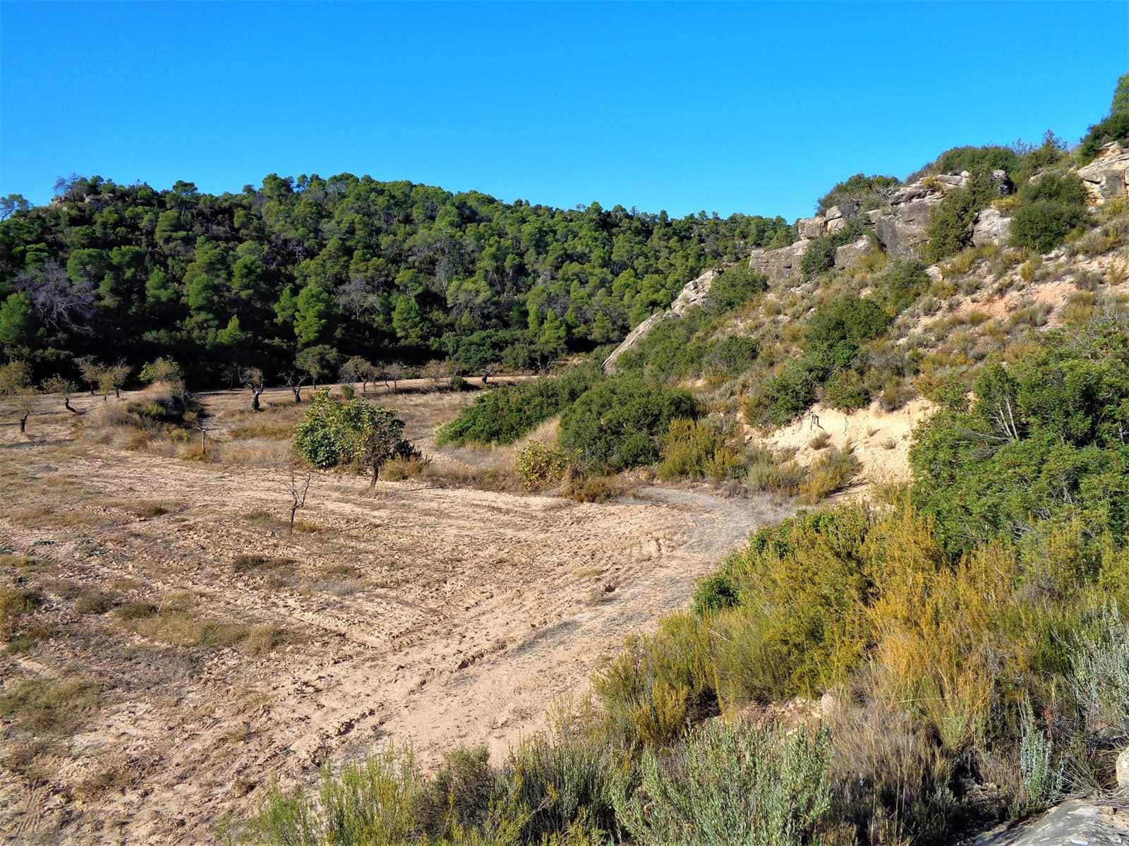 Finca/Casa di Campagna in vendita in Maella - 19.000 € (Rif: 7406955)