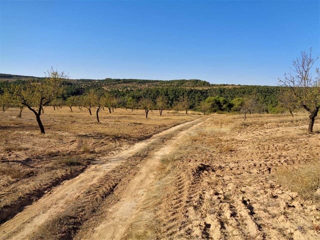 Finca/Casa Rural en Maella en venta - 19.000 € (Ref: 7406955)