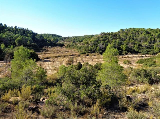 Finca/Casa Rural en Maella en venta - 19.000 € (Ref: 7406955)