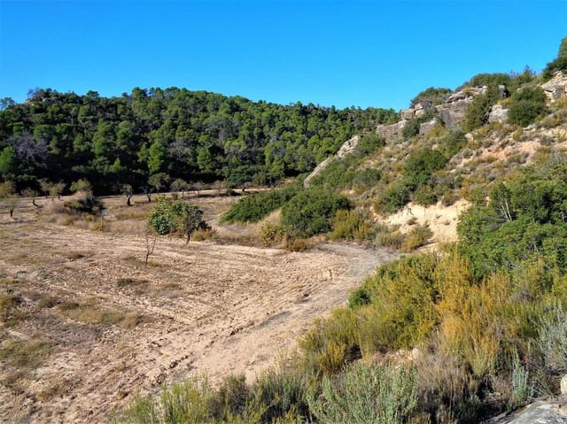Finca/Casa Rural en Maella en venta - 19.000 € (Ref: 7406955)