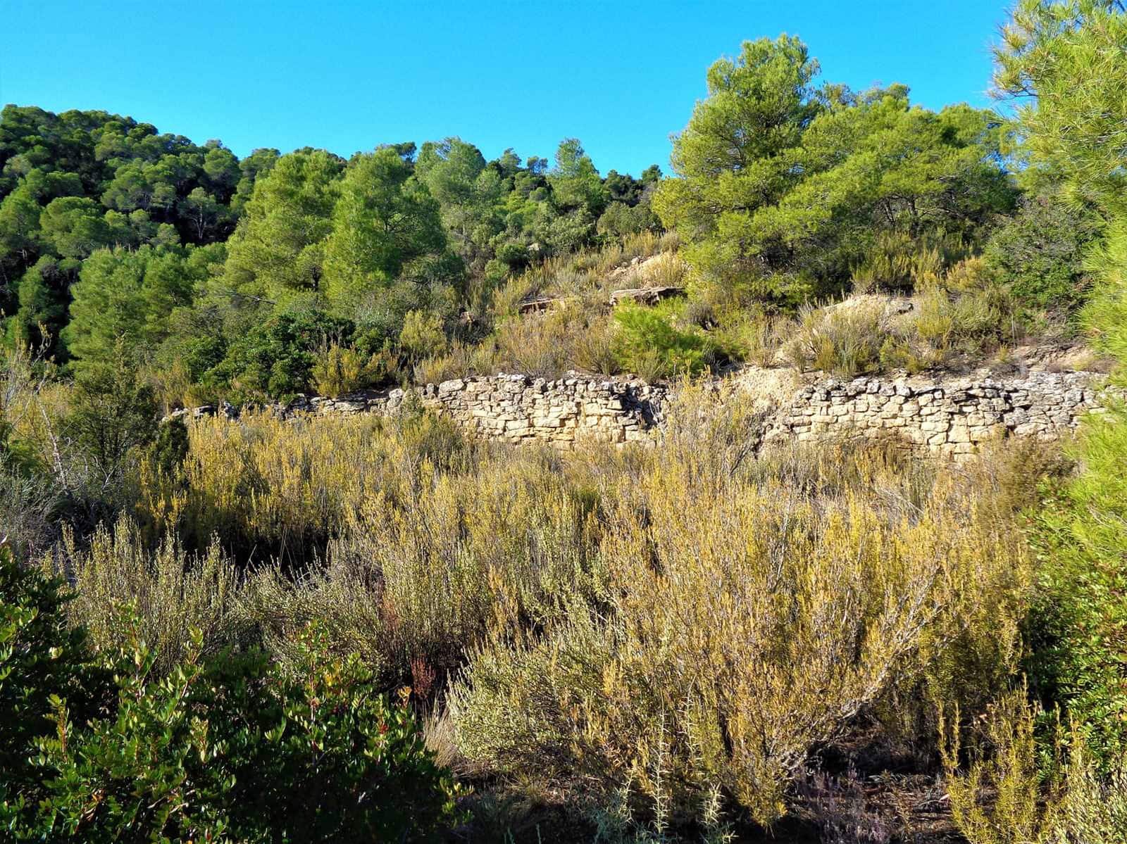 Finca/Casa di Campagna in vendita in Maella - 19.000 € (Rif: 7406955)