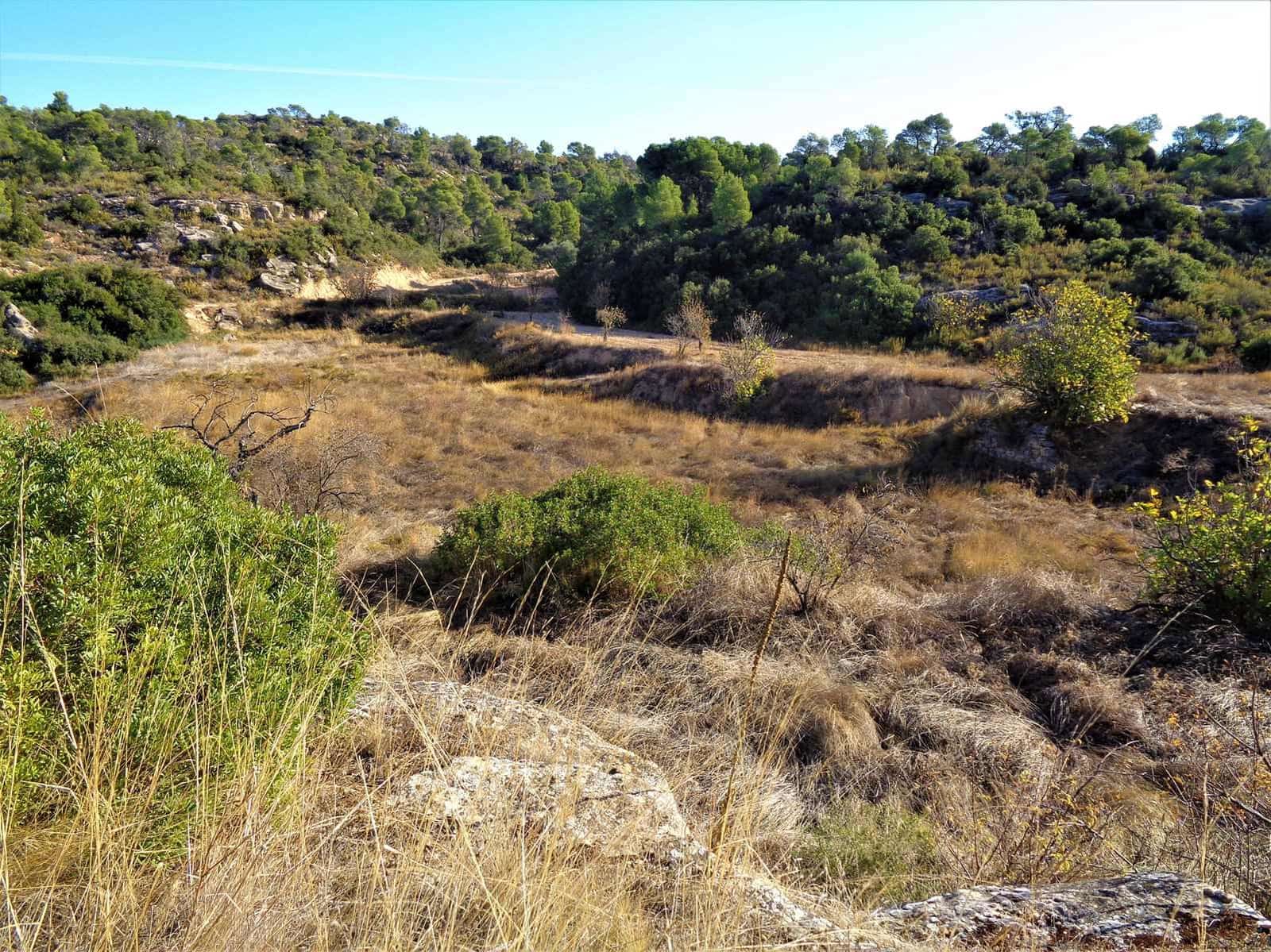 Finca/Casa di Campagna in vendita in Maella - 19.000 € (Rif: 7406955)