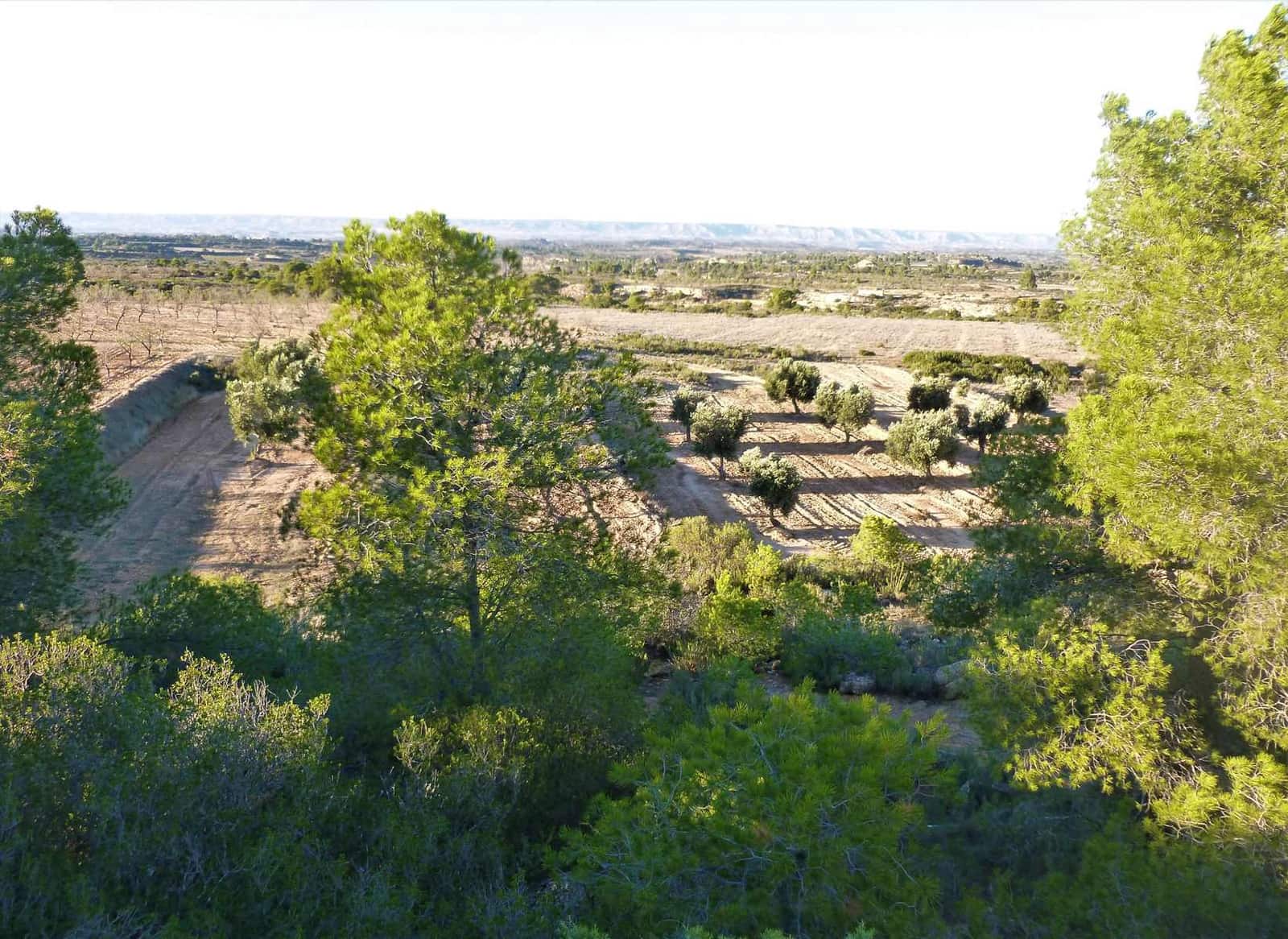 Finca/Landehus til salg i Fabara - € 15.000 (Ref: 7406957)