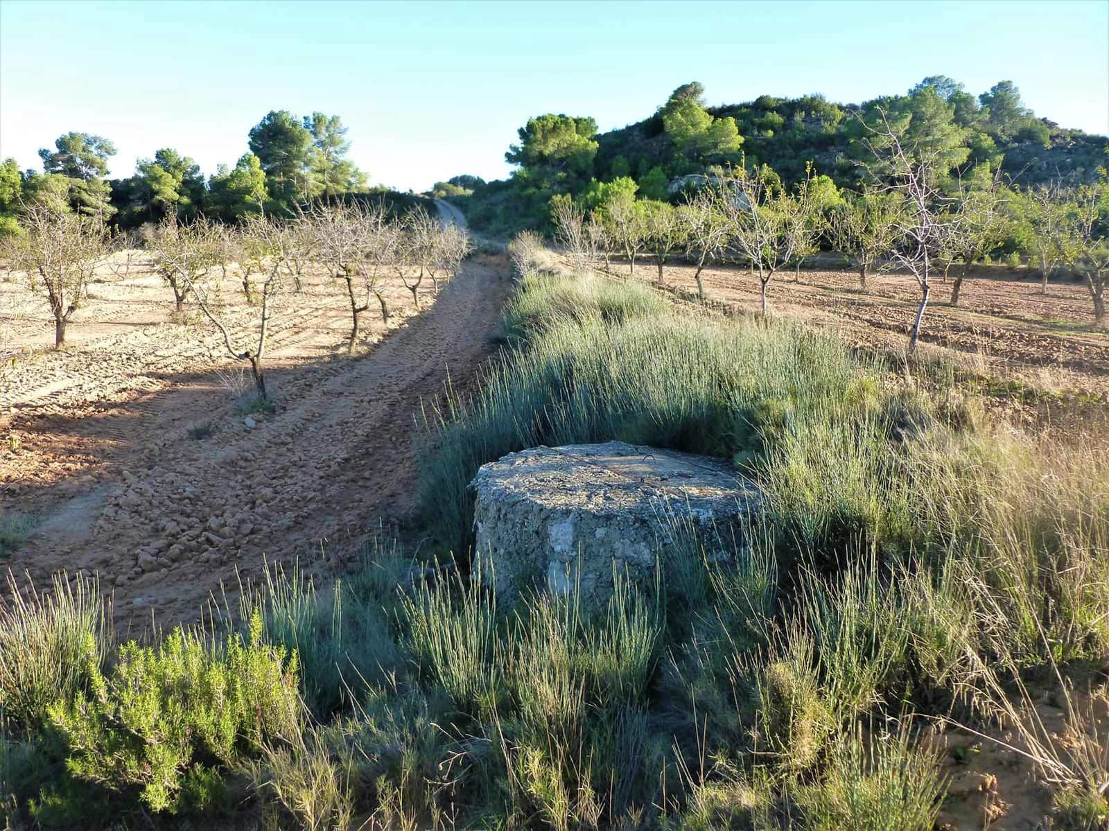 Finca/Landehus til salg i Fabara - € 15.000 (Ref: 7406957)