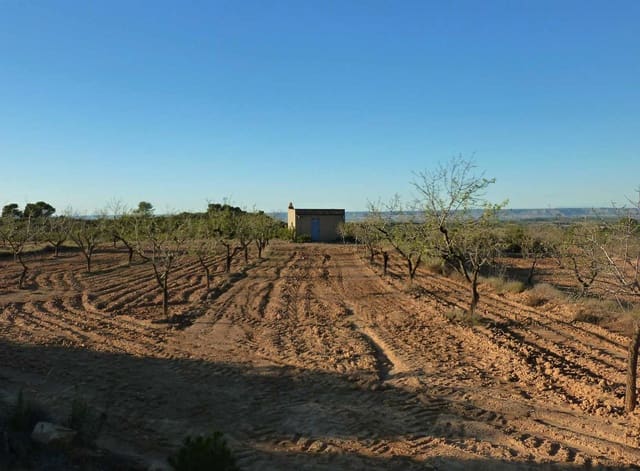 Finca/Casa Rural en Fabara en venta - 15.000 € (Ref: 7406957)