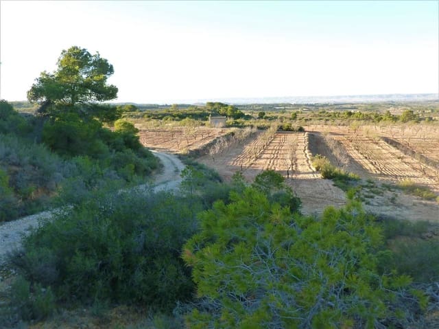 Finca/Casa Rural en Fabara en venta - 15.000 € (Ref: 7406957)