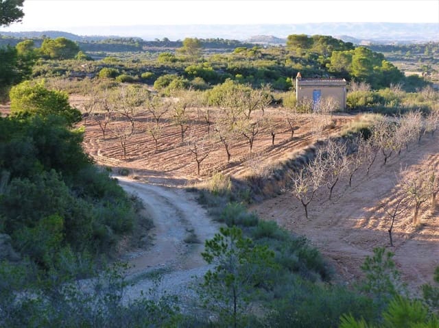 Finca/Casa Rural en Fabara en venta - 15.000 € (Ref: 7406957)