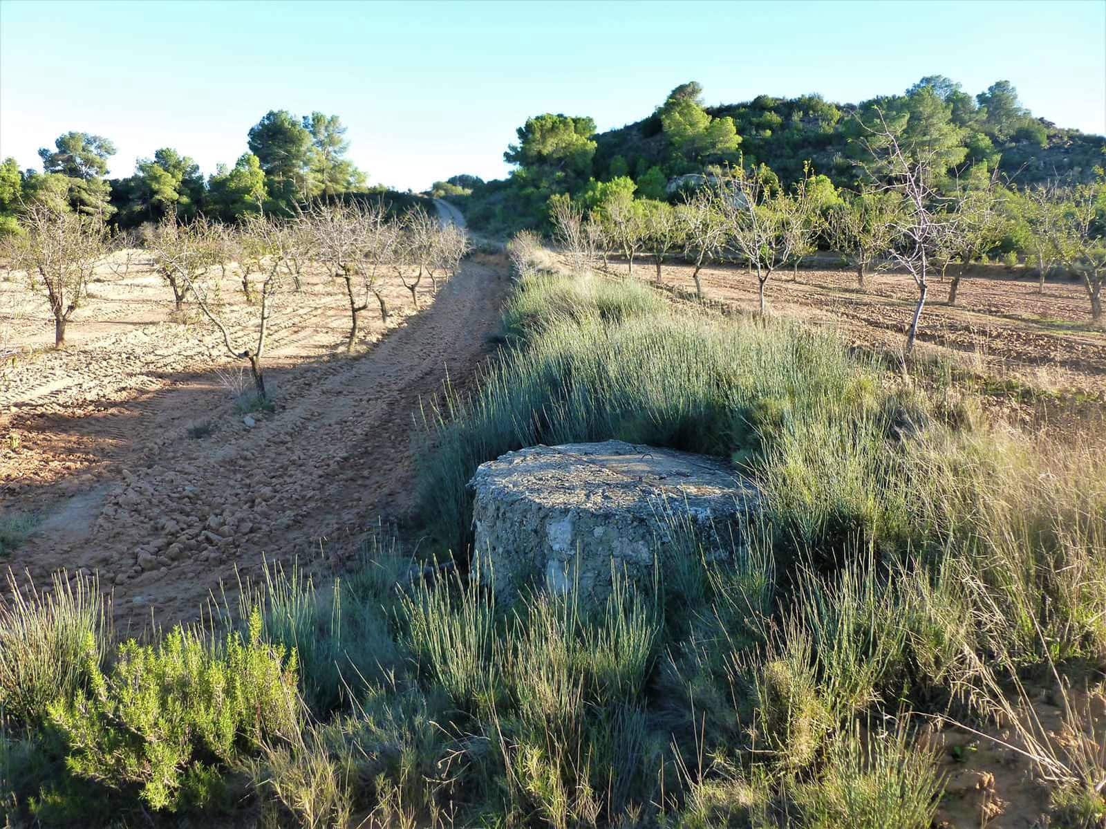 Finca/Casa Rural en Fabara en venta - 15.000 € (Ref: 7406957)