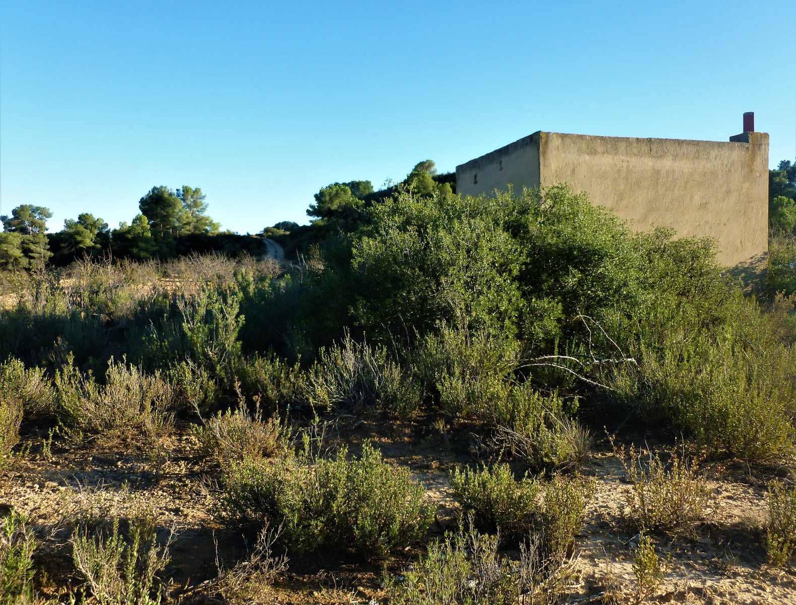 Finca/Casa Rural en Fabara en venta - 15.000 € (Ref: 7406957)