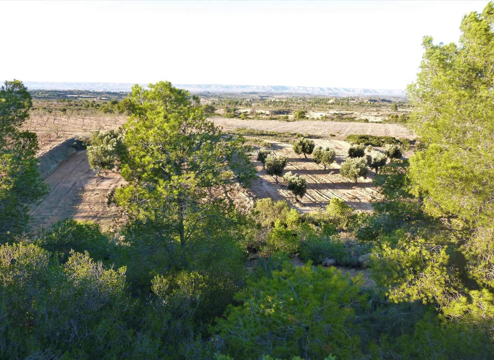 Finca/Casa Rural en Fabara en venta - 15.000 € (Ref: 7406957)