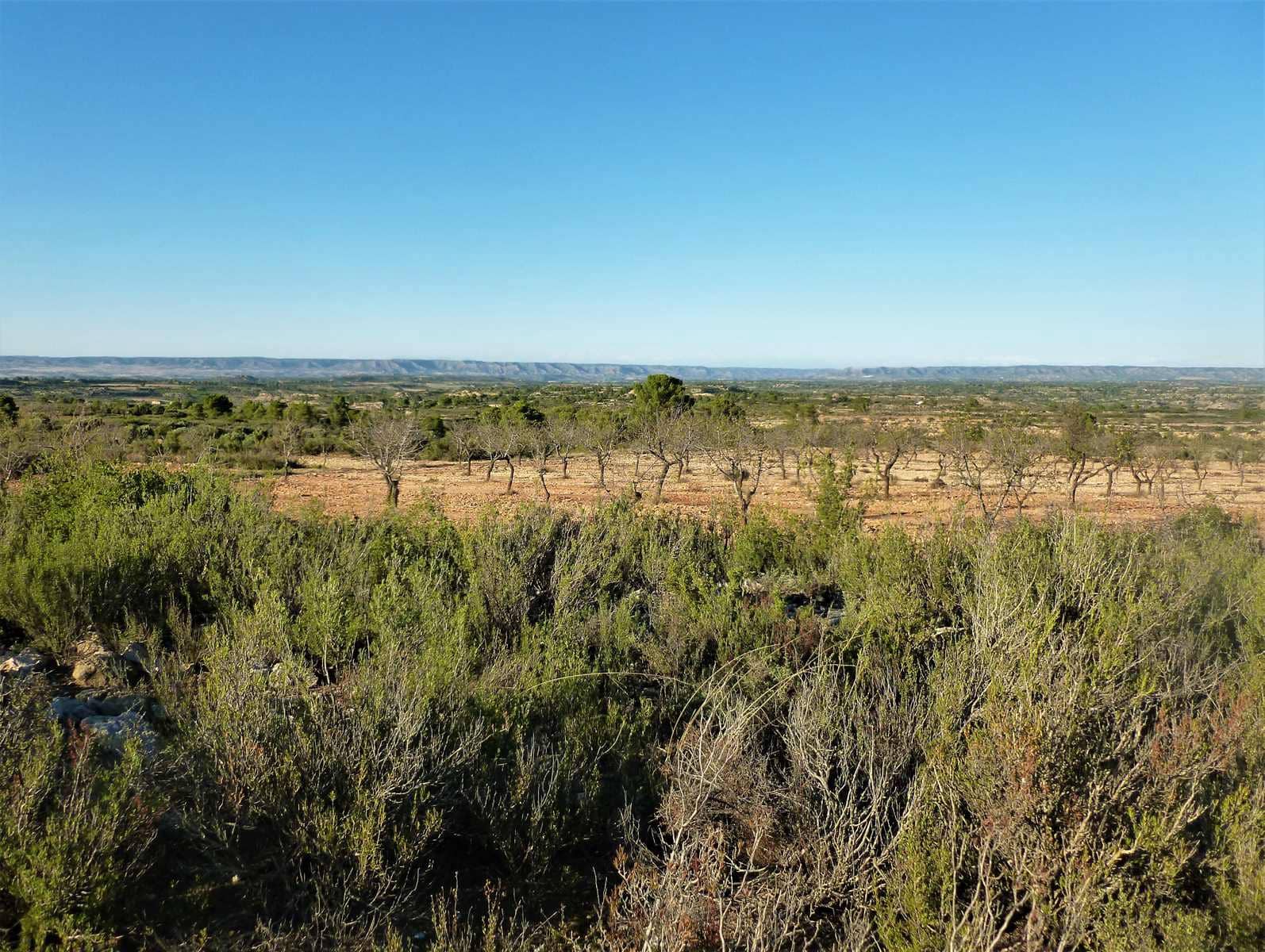 Finca/Casa Rural en Fabara en venta - 15.000 € (Ref: 7406957)