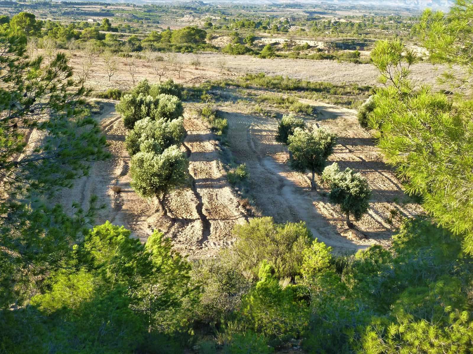 Finca/Casa Rural en Fabara en venta - 15.000 € (Ref: 7406957)