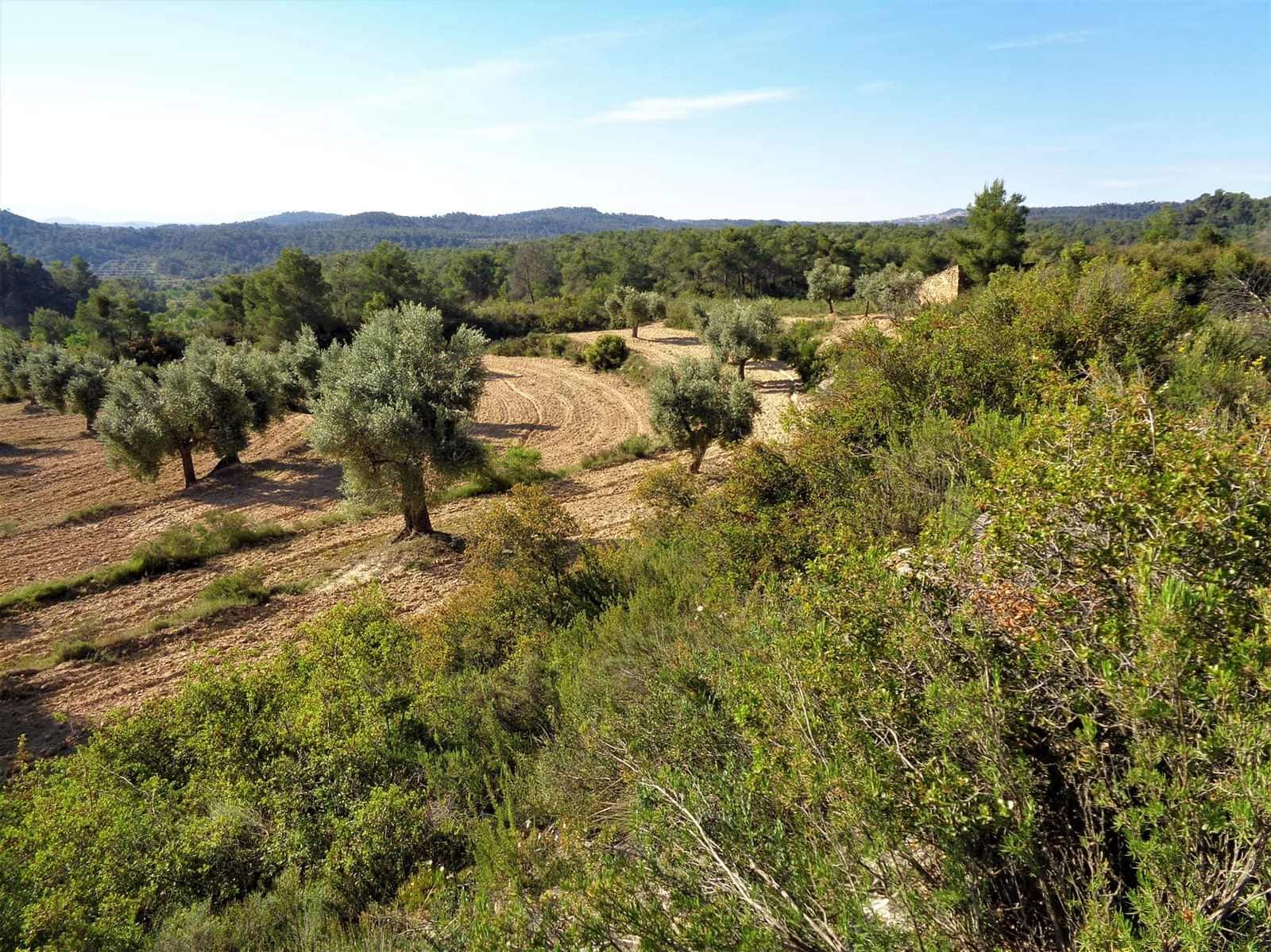 Finca/Landehus til salg i Maella - € 24.000 (Ref: 7406961)