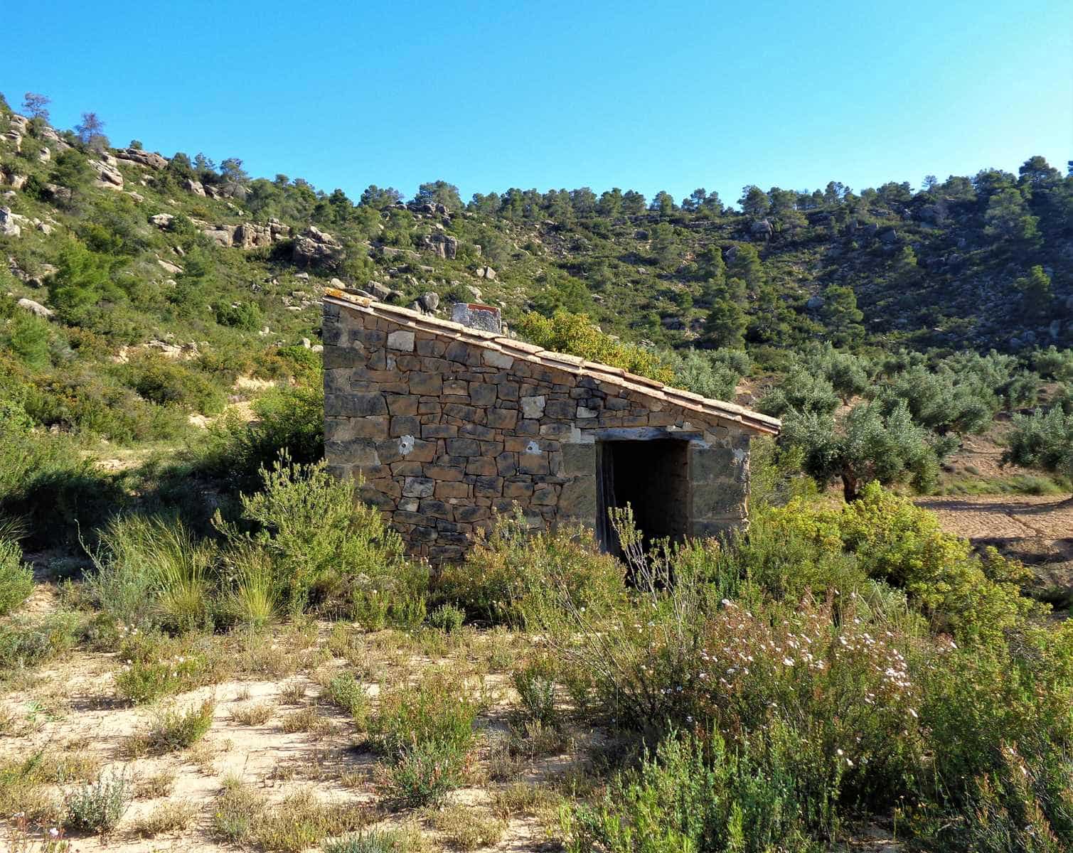 Finca/Casa Rural en Maella en venta - 24.000 € (Ref: 7406961)