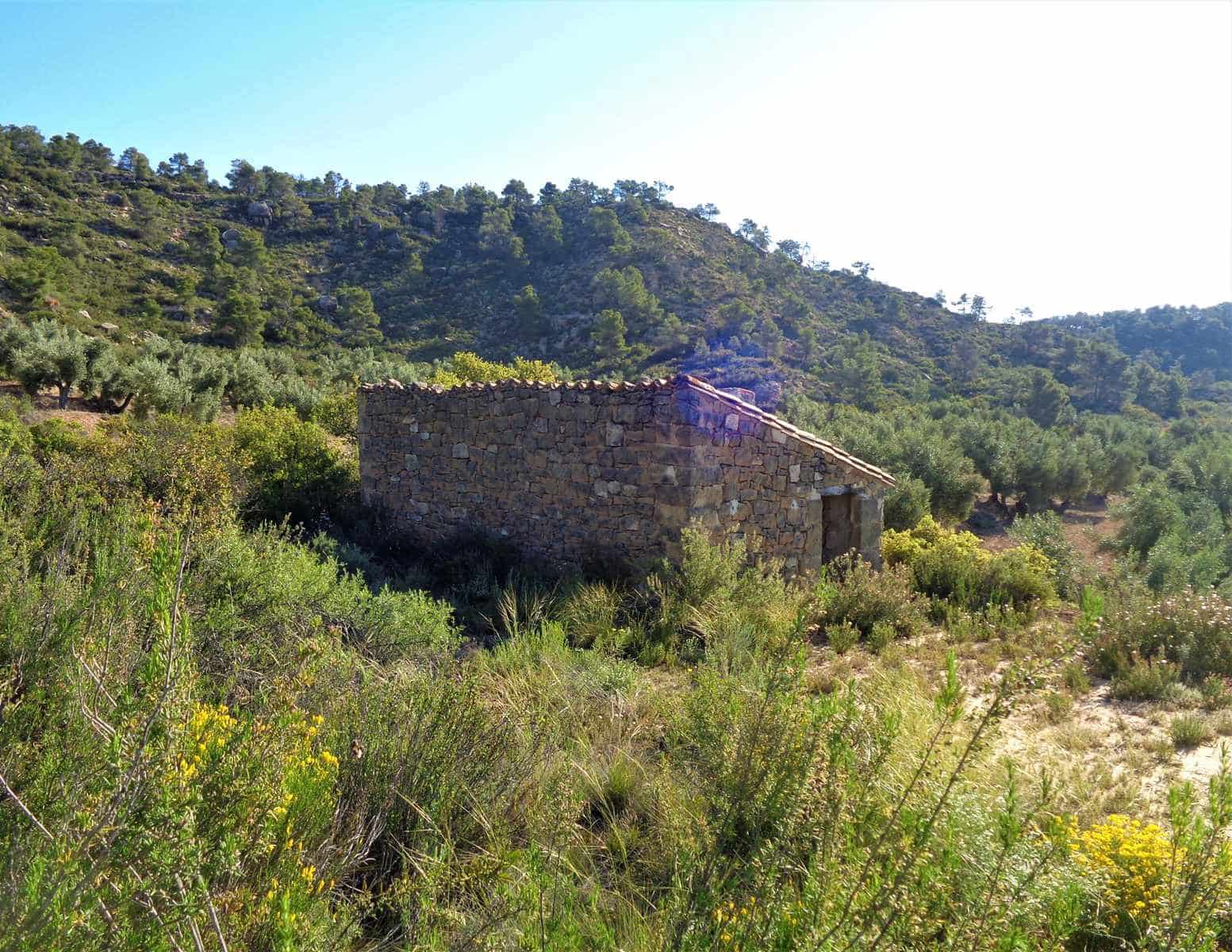 Finca/Casa Rural en Maella en venta - 24.000 € (Ref: 7406961)
