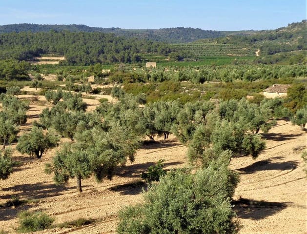 Finca/Casa Rural en Maella en venta - 24.000 € (Ref: 7406961)
