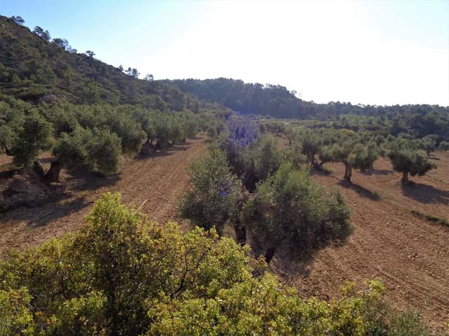 Finca/Casa Rural en Maella en venta - 24.000 € (Ref: 7406961)