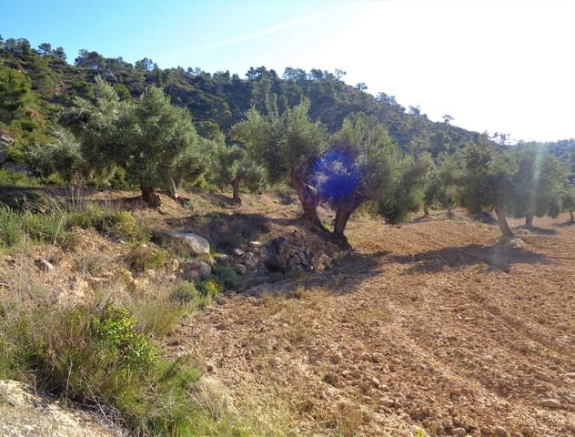 Finca/Casa Rural en Maella en venta - 24.000 € (Ref: 7406961)