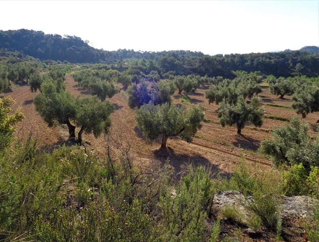 Finca/Casa Rural en Maella en venta - 24.000 € (Ref: 7406961)