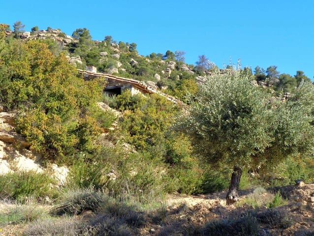 Finca/Casa Rural en Maella en venta - 24.000 € (Ref: 7406961)