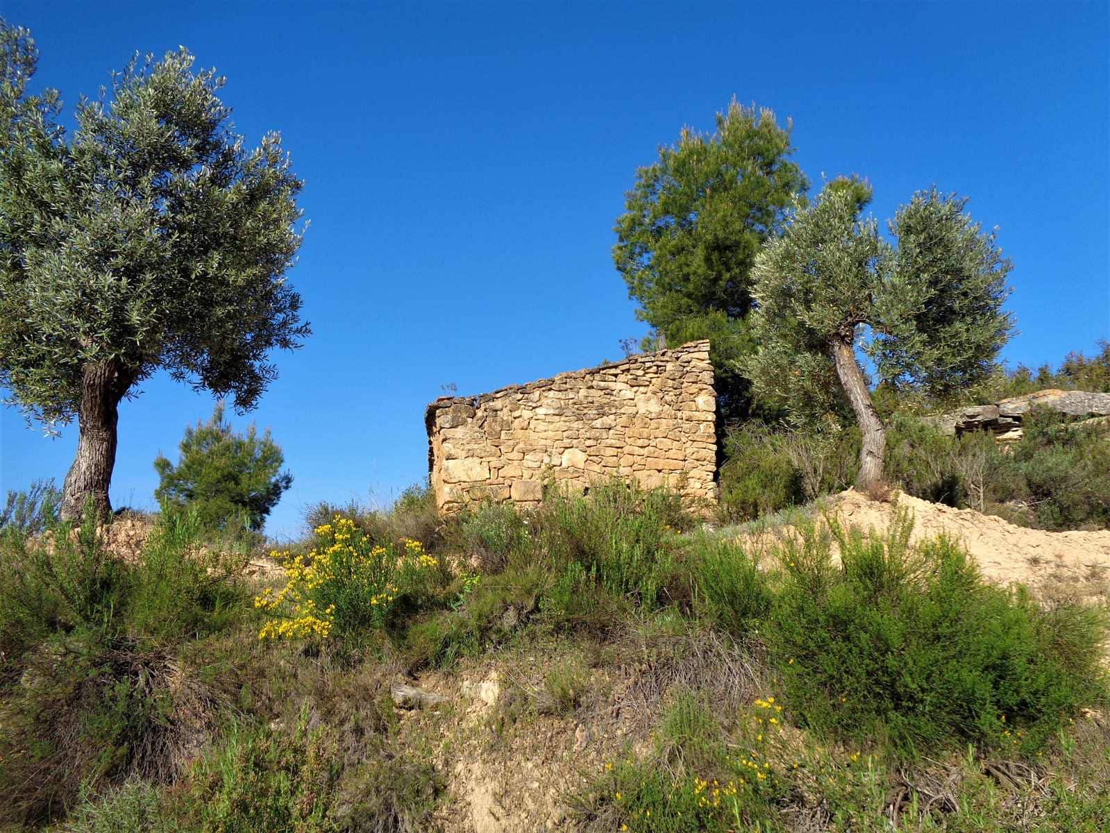 Finca/Casa Rural en Maella en venta - 24.000 € (Ref: 7406961)