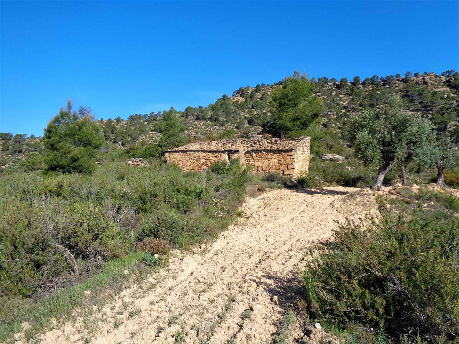 Finca/Casa Rural en Maella en venta - 24.000 € (Ref: 7406961)