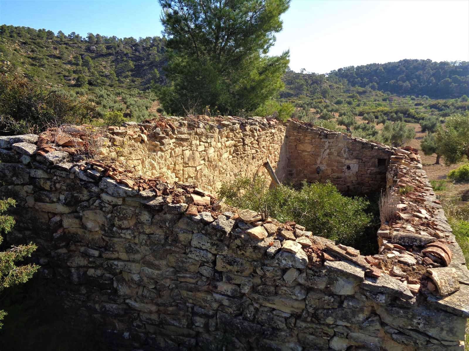 Finca/Casa Rural en Maella en venta - 24.000 € (Ref: 7406961)