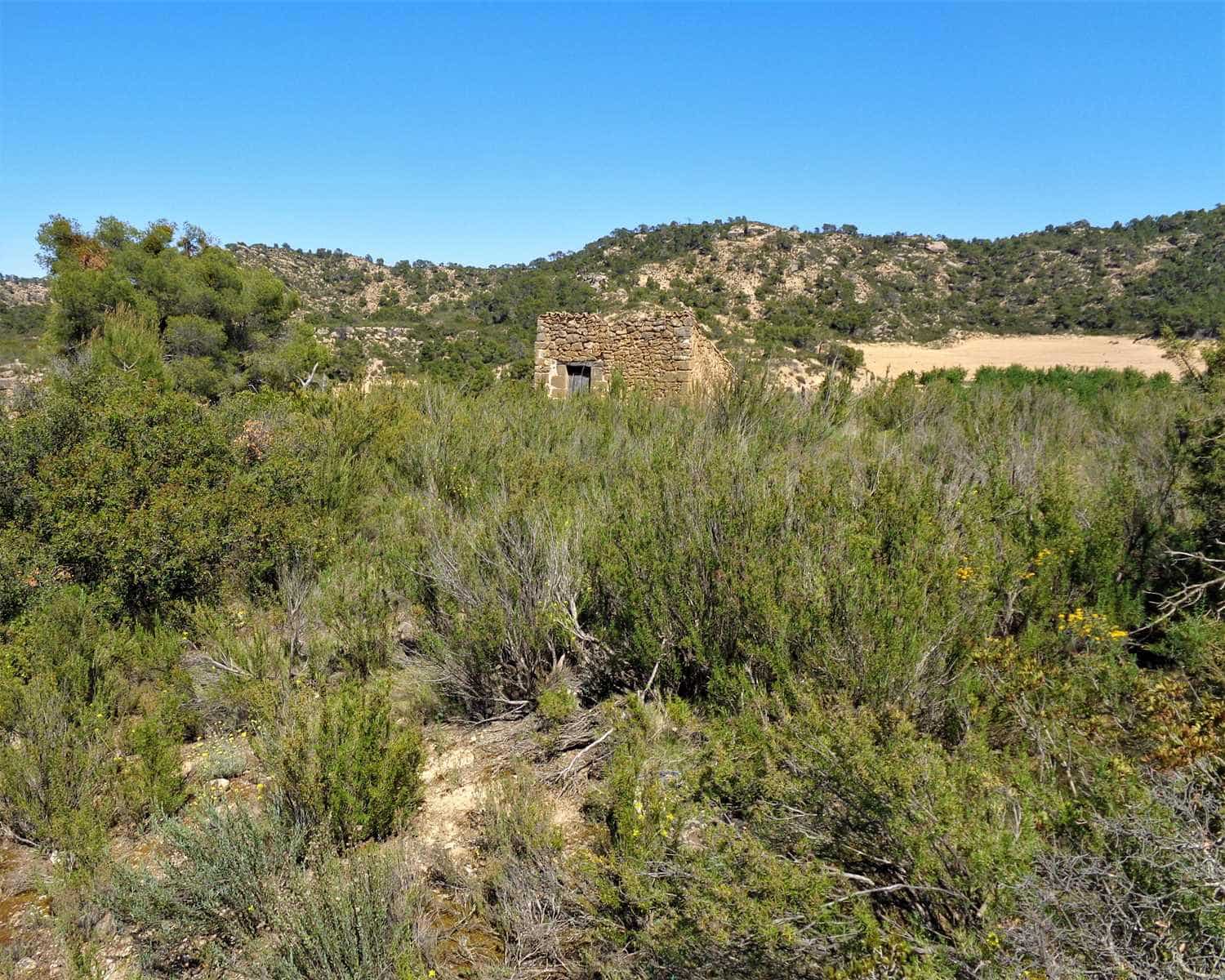 Finca/Casa Rural en Maella en venta - 17.500 € (Ref: 7406962)