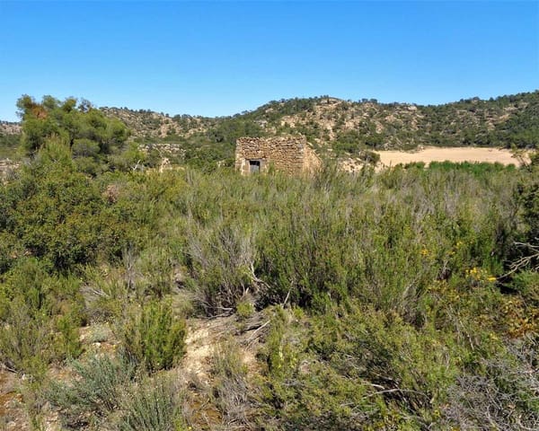 Finca/Casa di Campagna in vendita in Maella - 17.500 € (Rif: 7406962)