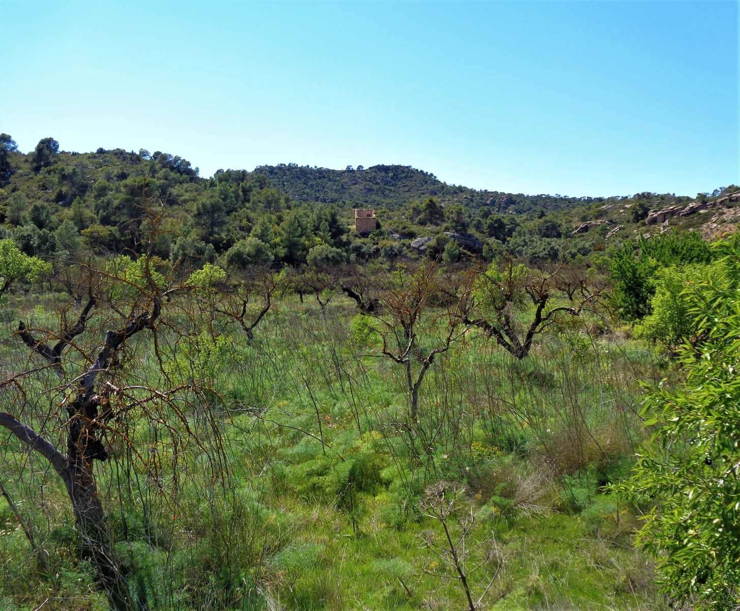Finca/Casa Rural en Maella en venta - 17.500 € (Ref: 7406962)