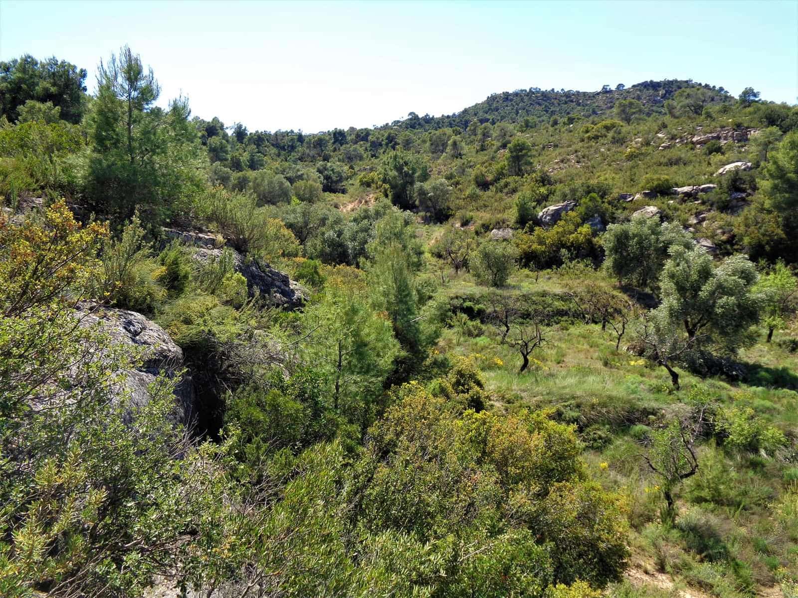 Finca/Casa Rural en Maella en venta - 17.500 € (Ref: 7406962)