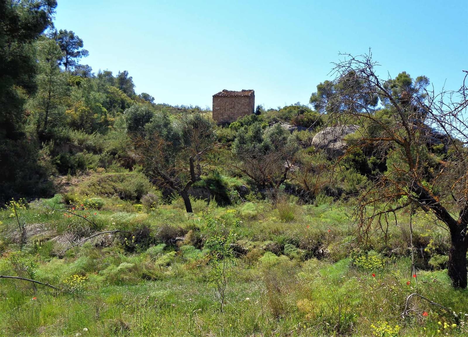 Finca/Casa Rural en Maella en venta - 17.500 € (Ref: 7406962)