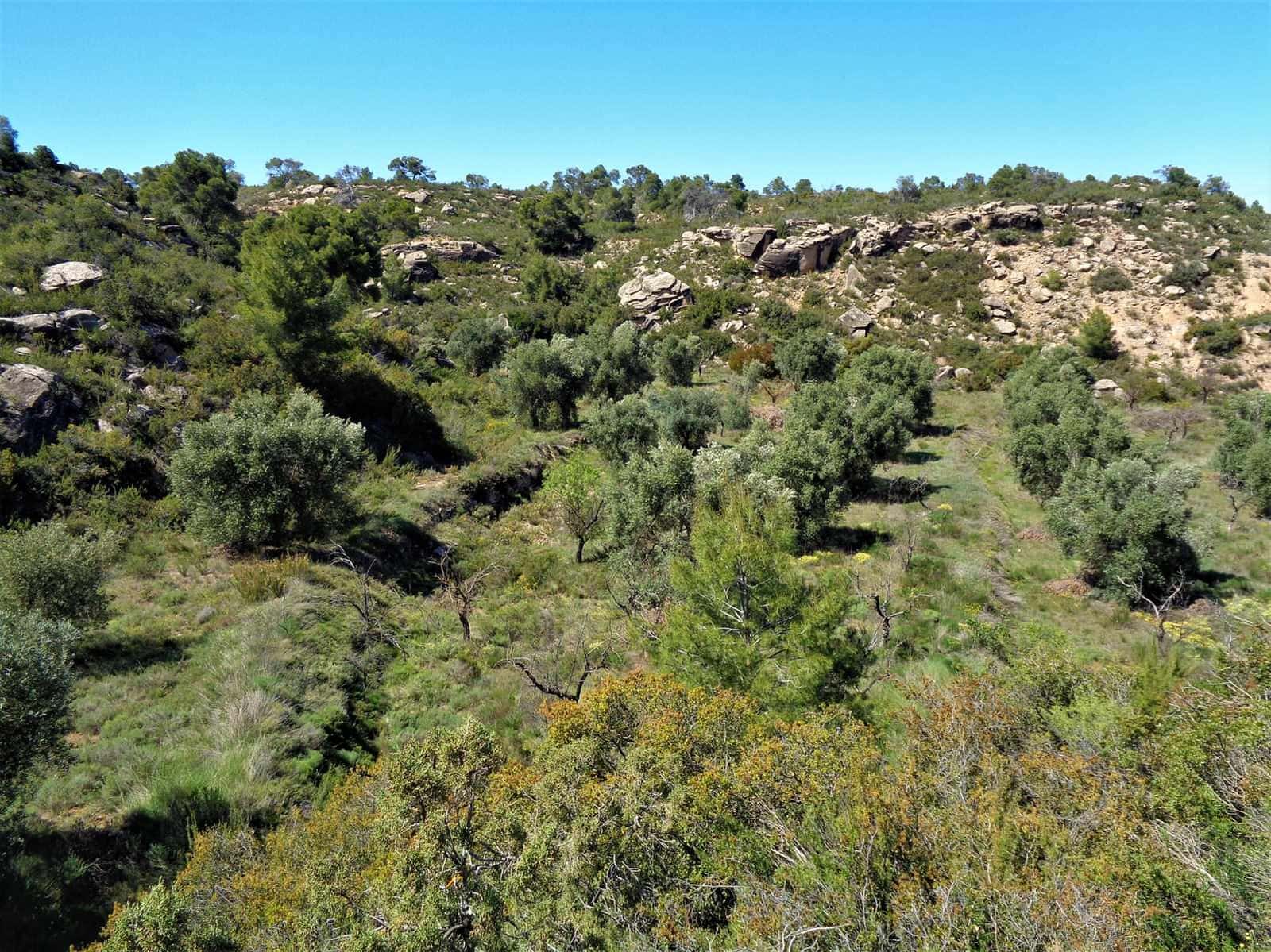 Finca/Casa Rural en Maella en venta - 17.500 € (Ref: 7406962)