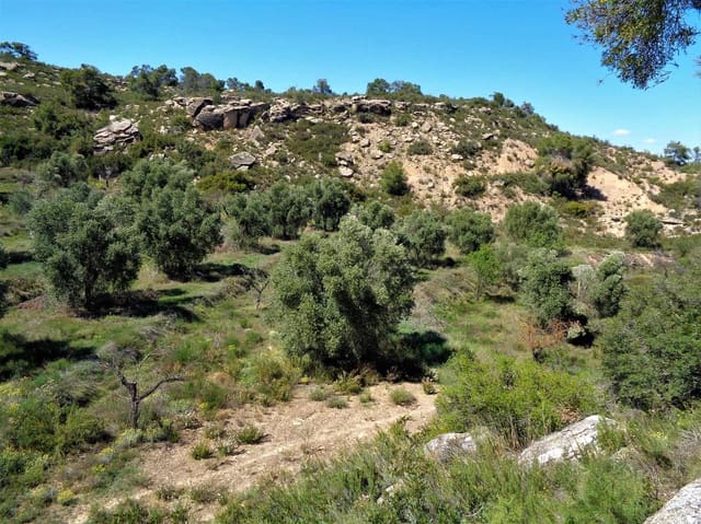 Finca/Casa di Campagna in vendita in Maella - 17.500 € (Rif: 7406962)