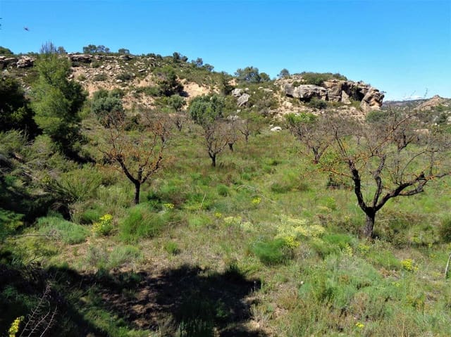 Finca/Casa Rural en Maella en venta - 17.500 € (Ref: 7406962)