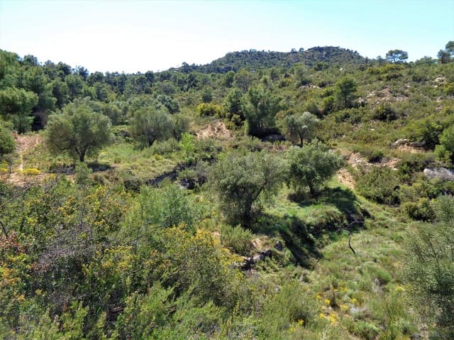Finca/Casa Rural en Maella en venta - 17.500 € (Ref: 7406962)