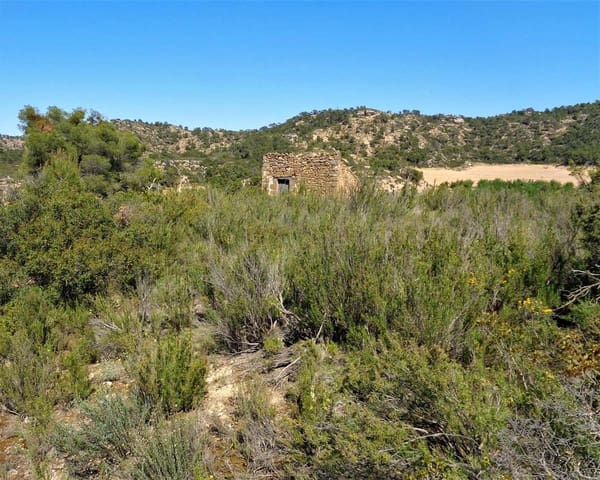 Finca/Casa Rural en Maella en venta - 17.500 € (Ref: 7406962)