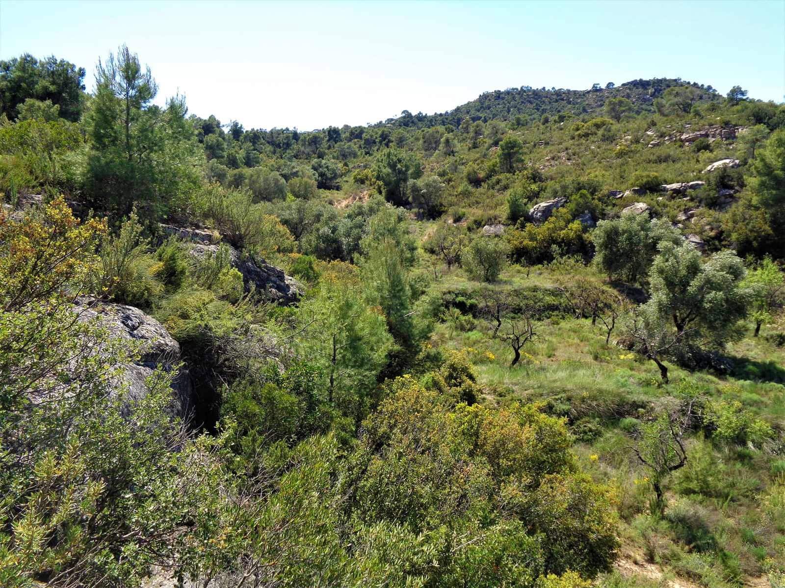Finca/Casa Rural en Maella en venta - 17.500 € (Ref: 7406962)