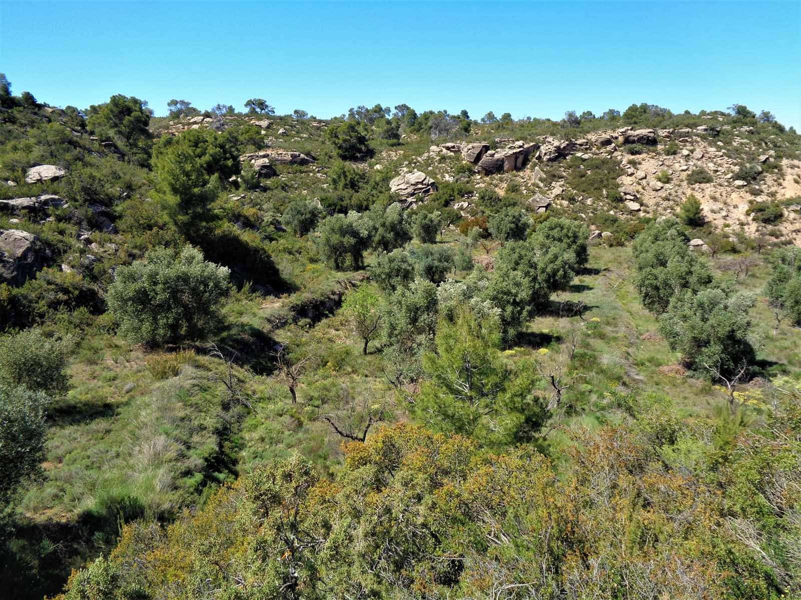 Finca/Casa Rural en Maella en venta - 17.500 € (Ref: 7406962)