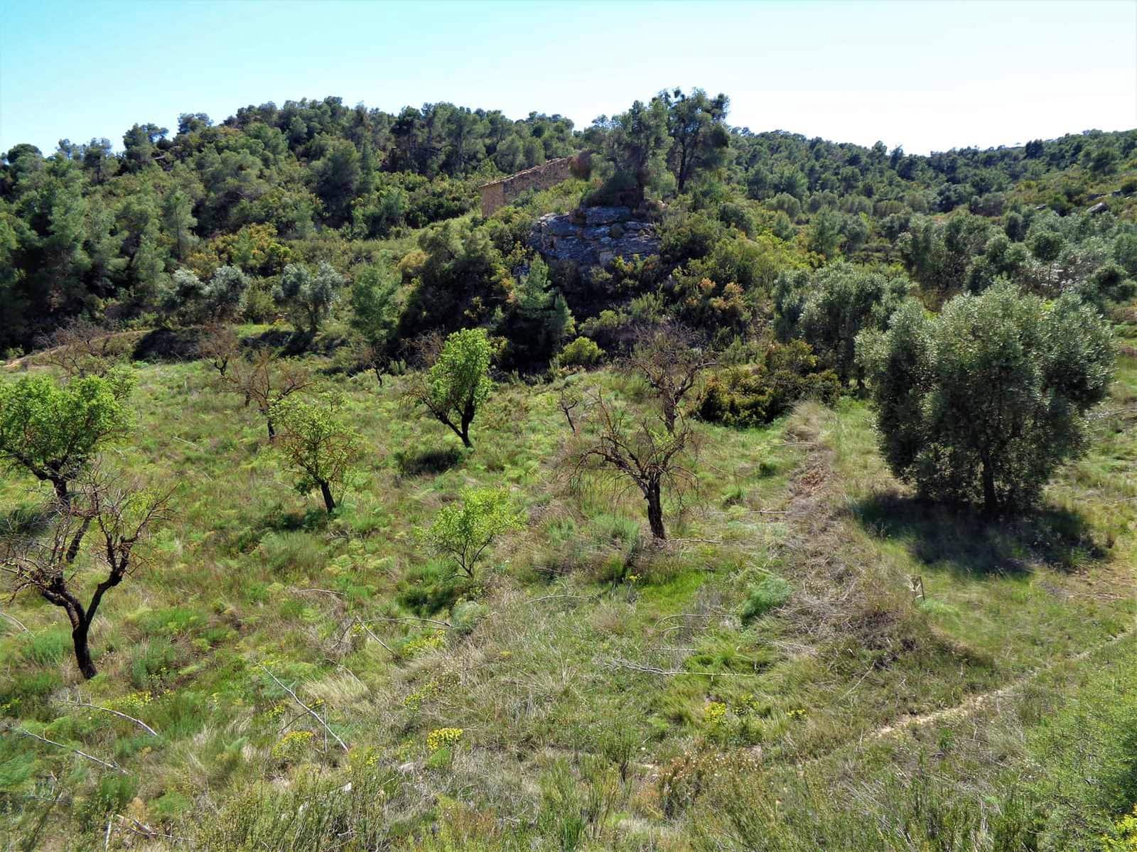 Finca/Casa Rural en Maella en venta - 17.500 € (Ref: 7406962)